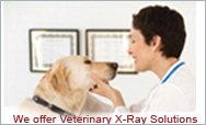 vet solutions